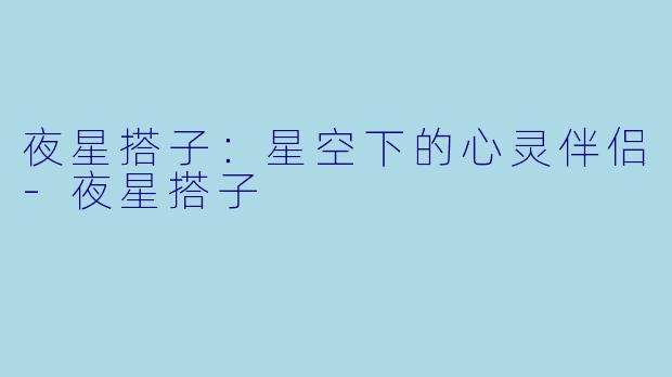 夜星搭子：星空下的心灵伴侣-夜星搭子