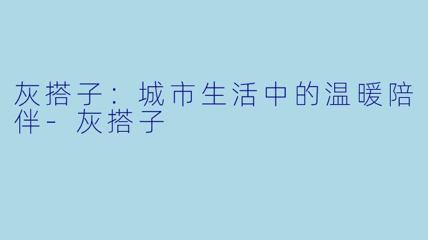灰搭子：城市生活中的温暖陪伴-灰搭子
