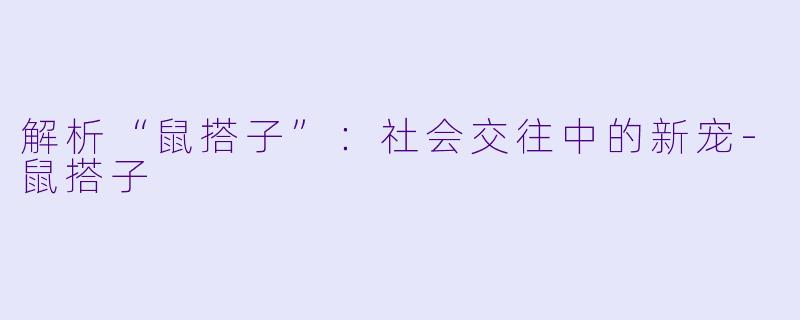解析“鼠搭子”：社会交往中的新宠-鼠搭子