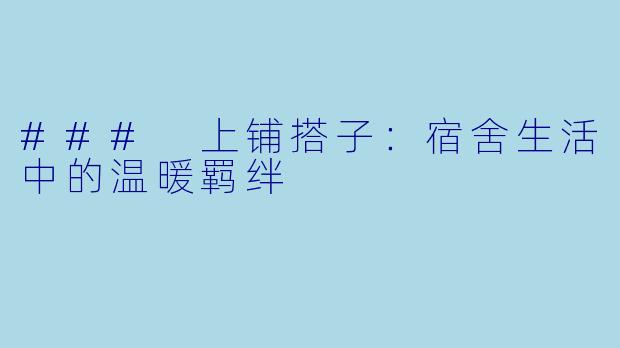 ### 上铺搭子：宿舍生活中的温暖羁绊
