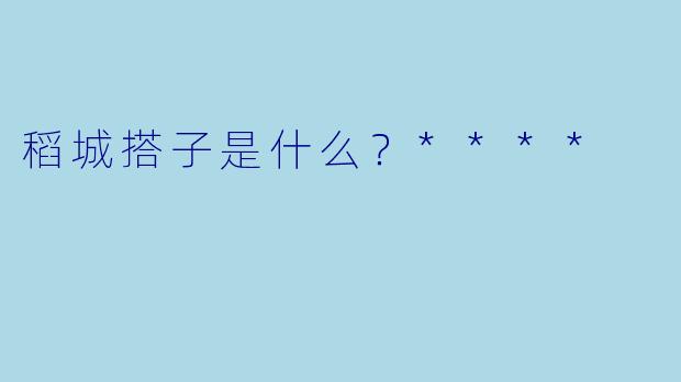 稻城搭子是什么?****