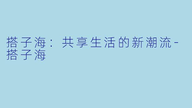 搭子海：共享生活的新潮流-搭子海