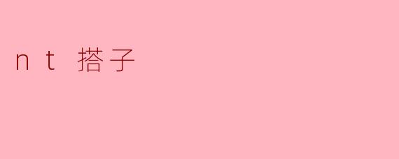 什么是“nt搭子”？  