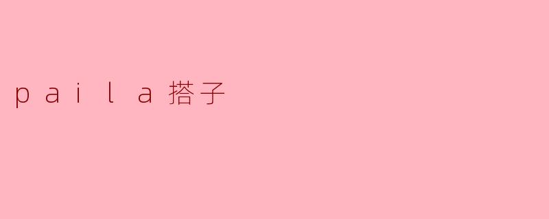 什么是“paila搭子”？