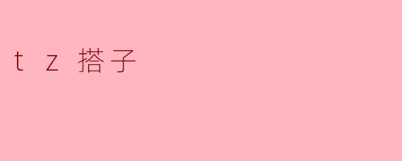 tz搭子