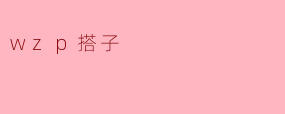 wzp搭子