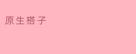 什么是“原生搭子”？  