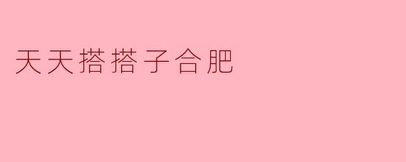 天天搭搭子合肥是个什么样的活动？