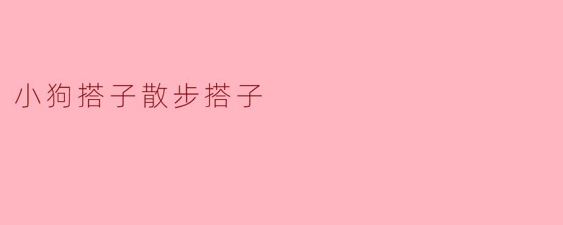 ### 小狗搭子散步搭子