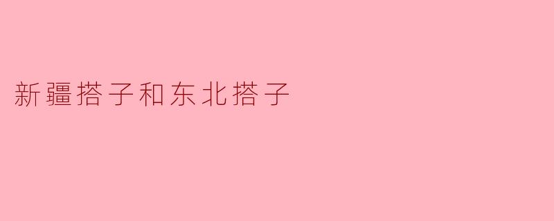 ### 新疆搭子与东北搭子:两地文化的交融与碰撞