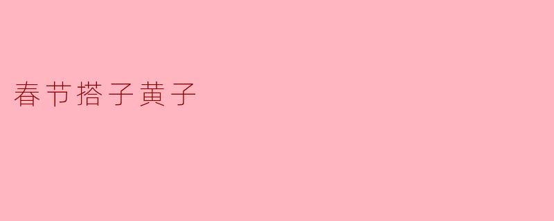 春节搭子黄子