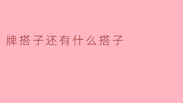 牌搭子还有什么搭子？****