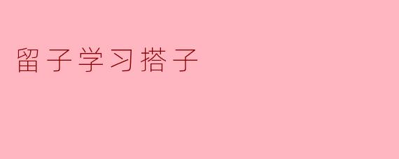 留子学习搭子