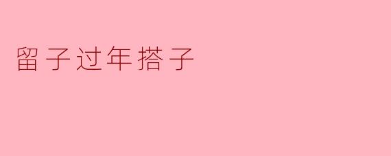 留子过年搭子