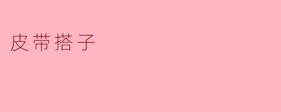 皮带搭子