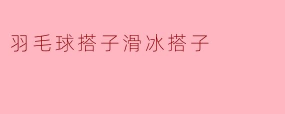羽毛球搭子与滑冰搭子的快乐时光