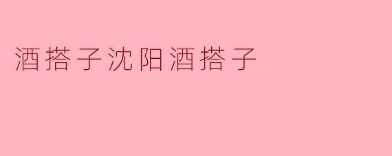 沈阳酒搭子:酒桌上的独特文化现象