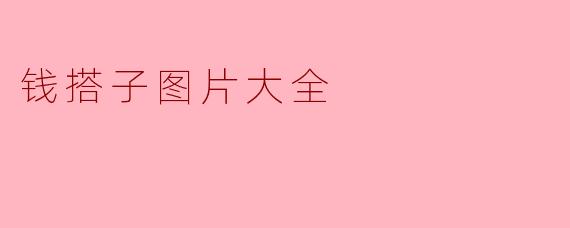 钱搭子图片大全