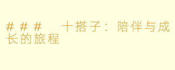 ### 十搭子：陪伴与成长的旅程