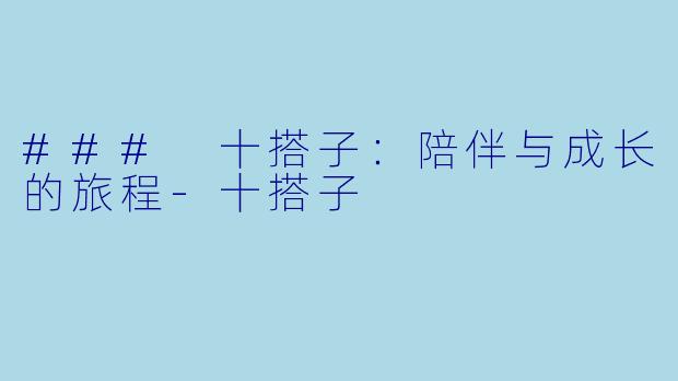 ### 十搭子：陪伴与成长的旅程-十搭子