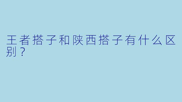 王者搭子和陕西搭子有什么区别？  