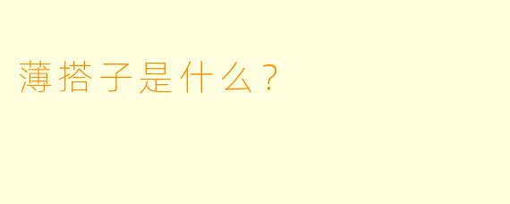 薄搭子是什么？  