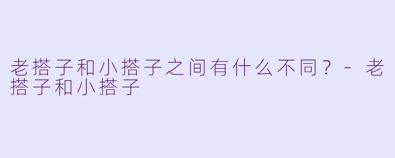 老搭子和小搭子之间有什么不同？