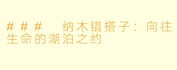 ### 纳木错搭子:向往生命的湖泊之约
