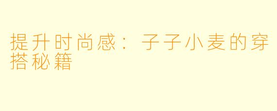 提升时尚感：子子小麦的穿搭秘籍