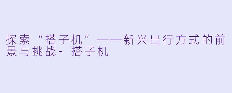 探索“搭子机”——新兴出行方式的前景与挑战-搭子机