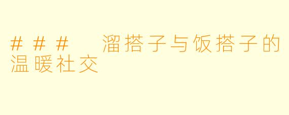 ### 溜搭子与饭搭子的温暖社交