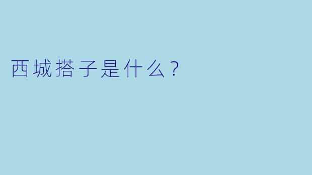 西城搭子是什么？