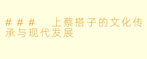 ### 上蔡搭子的文化传承与现代发展