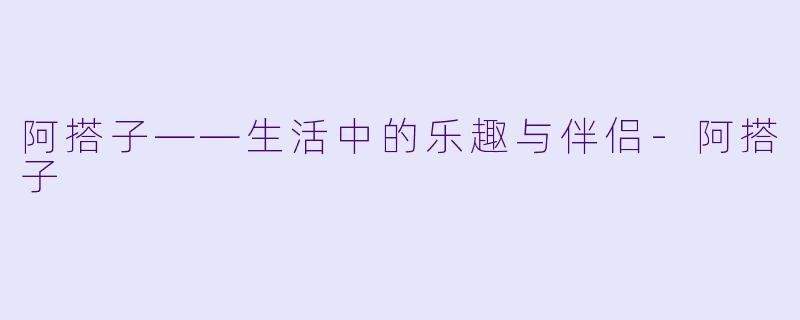 阿搭子——生活中的乐趣与伴侣-阿搭子