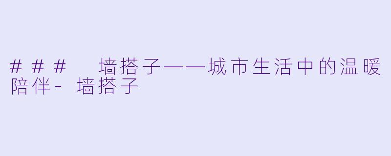 ### 墙搭子——城市生活中的温暖陪伴