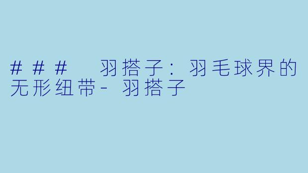 ### 羽搭子：羽毛球界的无形纽带-羽搭子