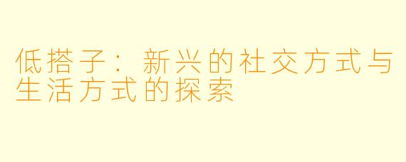 低搭子：新兴的社交方式与生活方式的探索