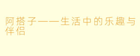 阿搭子——生活中的乐趣与伴侣