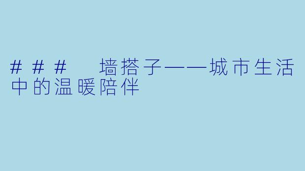 ### 墙搭子——城市生活中的温暖陪伴