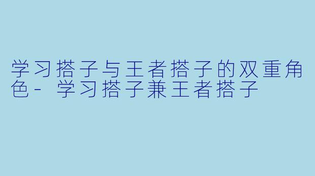 学习搭子与王者搭子的双重角色-学习搭子兼王者搭子