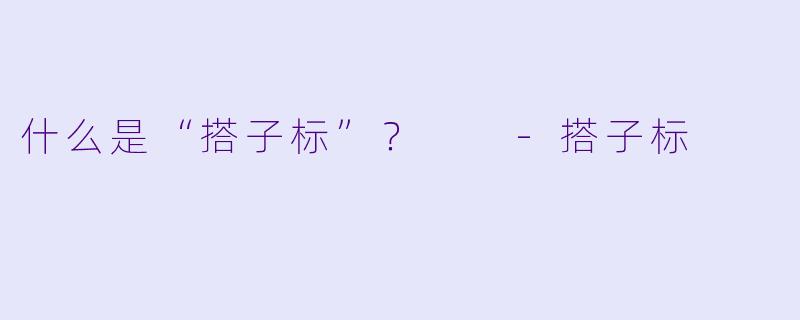 什么是“搭子标”？  