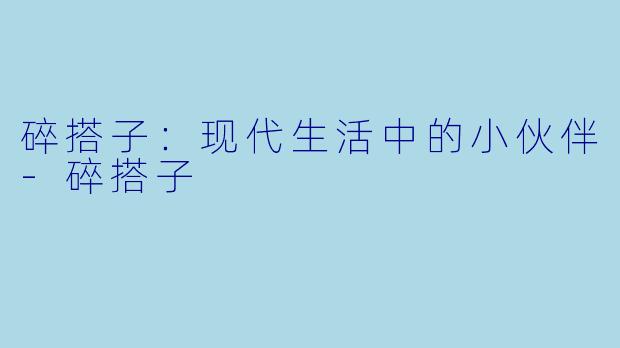 碎搭子：现代生活中的小伙伴-碎搭子
