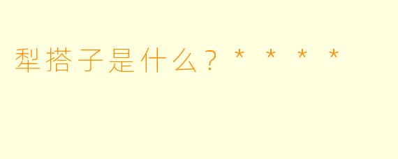 犁搭子是什么？****