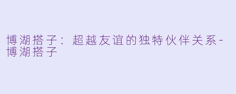 博湖搭子:超越友谊的独特伙伴关系