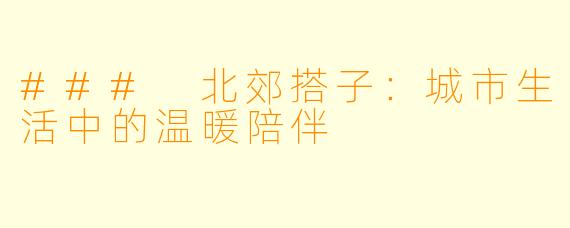### 北郊搭子：城市生活中的温暖陪伴
