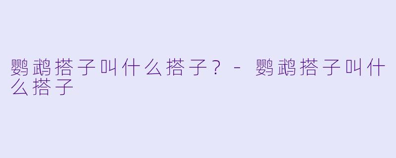 鹦鹉搭子叫什么搭子？