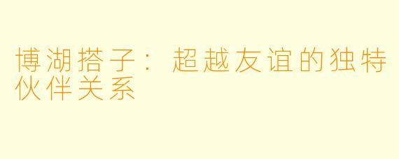 博湖搭子：超越友谊的独特伙伴关系