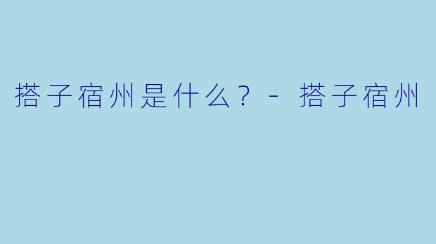 搭子宿州是什么？