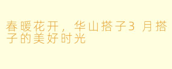 春暖花开,华山搭子3月搭子的美好时光