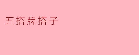五搭牌搭子